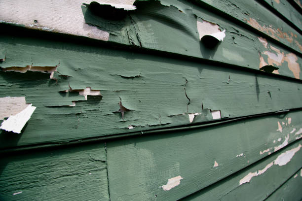 Best Steel Siding Installation  in Mebane, NC