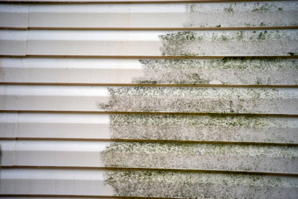 Best Residential Vinyl Siding Installation  in Mebane, NC