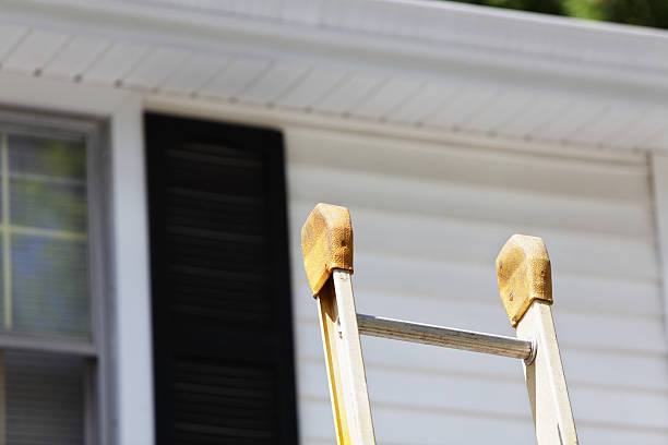 Best Historical Building Siding Restoration  in Mebane, NC