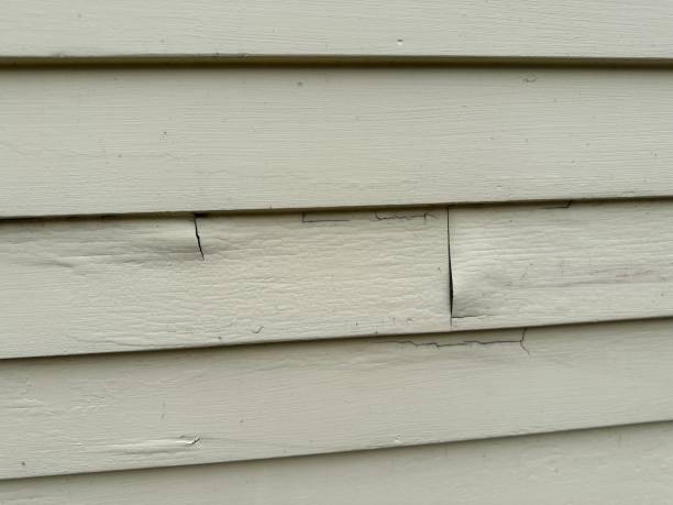 Best Stone Veneer Siding  in Mebane, NC